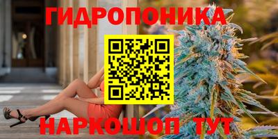 тгк Славгород