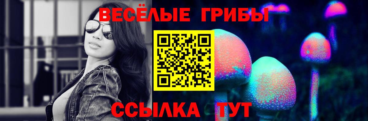 Галлюциногенные грибы прущие грибы  Вход с VPN  Туапсе  Псилоцибиновые грибы Magic Shrooms 